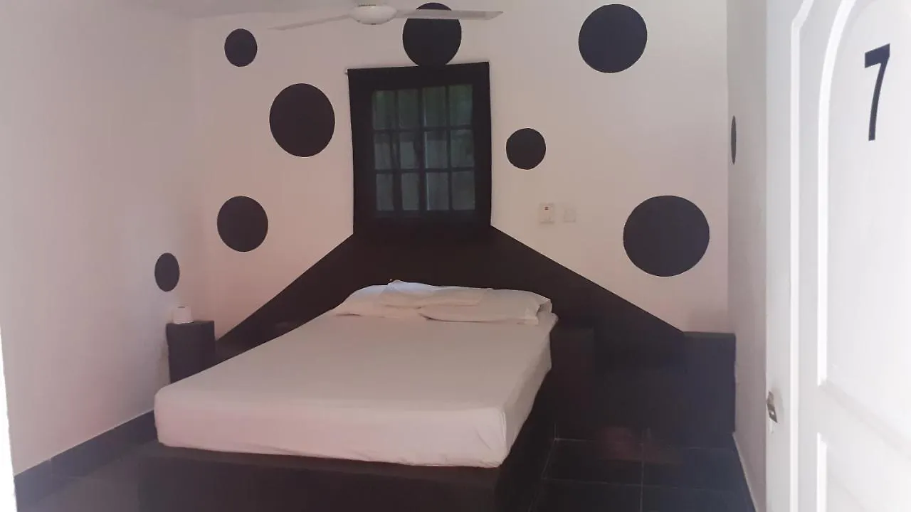 Hotel Punto4 Bávaro